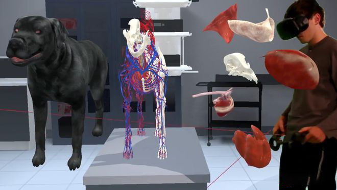 探索虚拟仿真在医学领域的革命性应用
